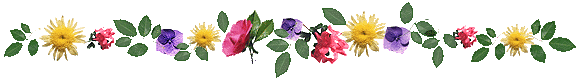 Owlflowe Essence Formulas.