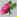 tinyflower.jpg (5008 bytes)